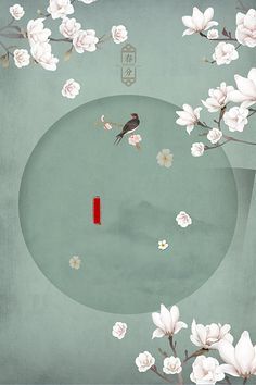 白虎一线天少女